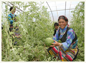 助推公益事业 与社会共进步