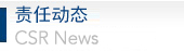 责任动态